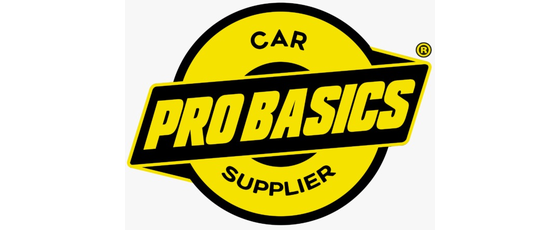 PROBASICS